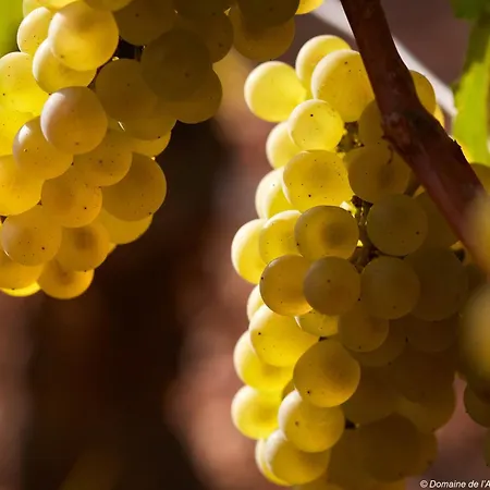 Dom wakacyjny La Maison De L'arlot