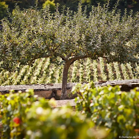 La Maison De L'arlot Prissey