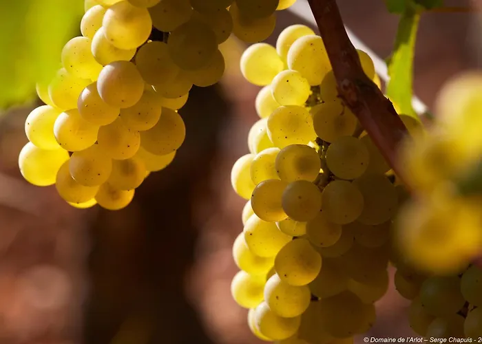 Semesterbostad La Maison De L'arlot