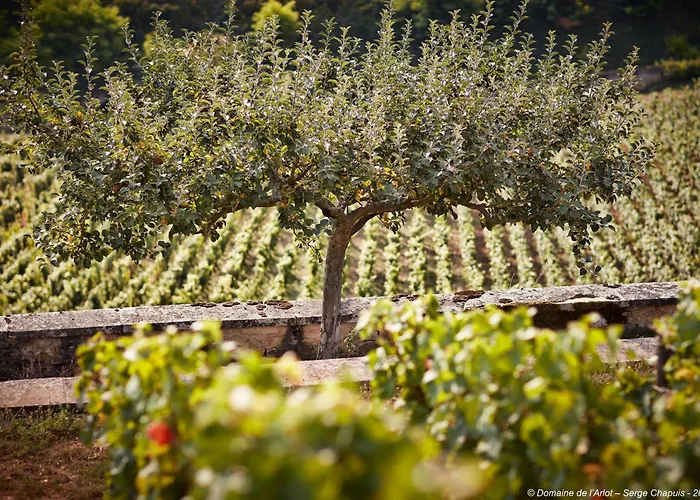 La Maison De L'arlot Prissey